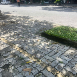 Cho thuê đất đường 11m Đinh Thị Vân