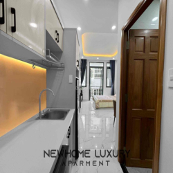 Căn hộ ngay Tân Hương - Tân Quý Aeon Mall Tân Phú