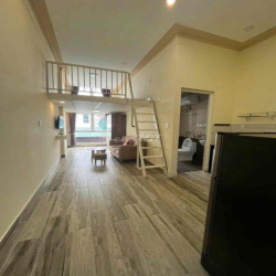 Nhà Phố Ngay Trung Tâm Mạc Đĩnh Chi Có Sẵn Nguồn Thu