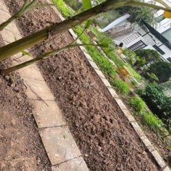 cho thuê biệt thự sân vườn 300m2 chính chủ