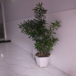 Cho Thuê mặt bằng khu dân cư cao cấp kinh doanh hẻm rộng 10m