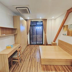 Vào ở luôn 1N1K  45m2 ban công tối , bảo vệ 24/24 , 148 TDH