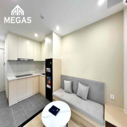1 ngủ khu Đình thôn quá đẹp - ô tô đỗ cửa thoáng full đồ , nhận pet