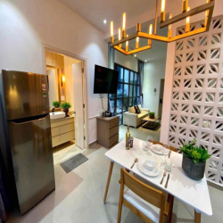 Cho thuê căn hộ 50m2 -  Khánh Hội quận 4, ngay cầu Ông Lãnh - gần Q1