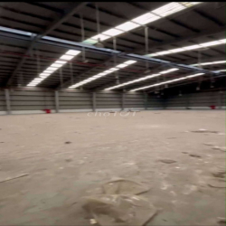 Xưởng 3000m2 Gò Vấp, làm Kho Xưởng hoặc Trường Học 