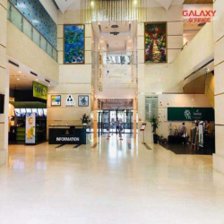 Cho thuê văn phòng 250 - 5.000 m2, Quận 11