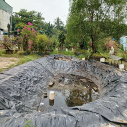 Cho thuêi 1600m2 thổ cư ngay vòng xoay Phú Hữu