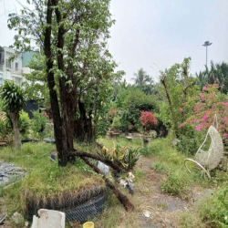 Cho thuêi 1600m2 thổ cư ngay vòng xoay Phú Hữu