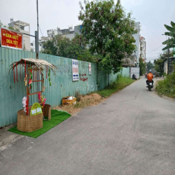 Cho thuêi 1600m2 thổ cư ngay vòng xoay Phú Hữu