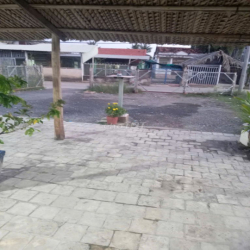 Cho thuê mặt bằng giá rẻ