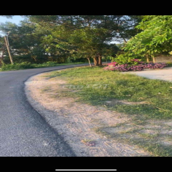 Đất mặt tiền nhựa Trần Thị Hò