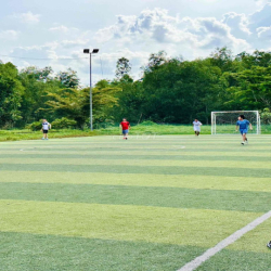 Cho thuê nhà phố sân vườn, nhà mới, khu an ninh, có bảo vệ