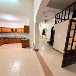 Cho thuê biệt thự Pháp cổ 300 m ngay sau Gigamall.