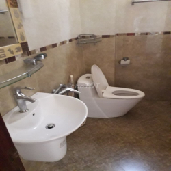 Cho thuê Biệt thự Trung Sơn, B.Hưng, Bình Chánh.