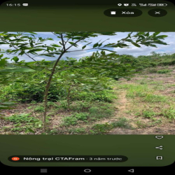 Cho thuê 3ha đất nông nghiệp giá rẻ