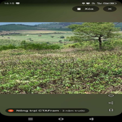 Cho thuê 3ha đất nông nghiệp giá rẻ