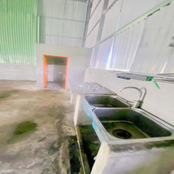 Cho thuê Kho 264 m2 KDC Ngân Thuận có điện 3 pha 14 triệu