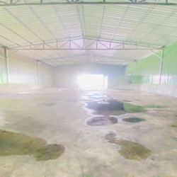 Cho thuê Kho 264 m2 KDC Ngân Thuận có điện 3 pha 14 triệu