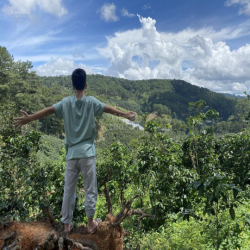 Cho thuê 10.600m2 đất vườn cafe Sim Tím MT QL20, HXH Đà Lạt