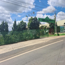 Cho thuê 10.600m2 đất vườn cafe Sim Tím MT QL20, HXH Đà Lạt