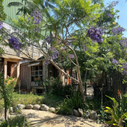 🌿 CHO THUÊ NHÀ & ĐẤT VƯỜN VIEW THUNG LŨNG SIÊU ĐẸP – PHÙ HỢP HOMESTAY