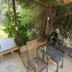 🌿 CHO THUÊ NHÀ & ĐẤT VƯỜN VIEW THUNG LŨNG SIÊU ĐẸP – PHÙ HỢP HOMESTAY