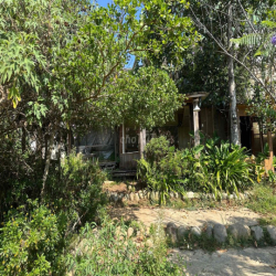 🌿 CHO THUÊ NHÀ & ĐẤT VƯỜN VIEW THUNG LŨNG SIÊU ĐẸP – PHÙ HỢP HOMESTAY