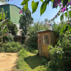 🌿 CHO THUÊ NHÀ & ĐẤT VƯỜN VIEW THUNG LŨNG SIÊU ĐẸP – PHÙ HỢP HOMESTAY