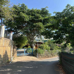 🌿 CHO THUÊ NHÀ & ĐẤT VƯỜN VIEW THUNG LŨNG SIÊU ĐẸP – PHÙ HỢP HOMESTAY