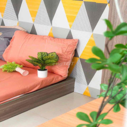 Ngay Công Viên Hoàng Văn Thụ 2p ngủ 55m2 Ban Công