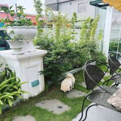 🔥 HIẾM! NHÀ 4 TẦNG THANG MÁY – FULL ĐỒ CAO CẤP – 18TR SỐNG ĐẲNG CẤP