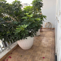 cho thuê phòng trọ bancol wc riêng, lầu 1, sẵn máy lạnh, nội thất như