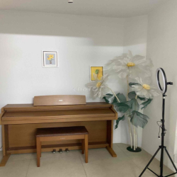 tầng trệt shophouse có lầu