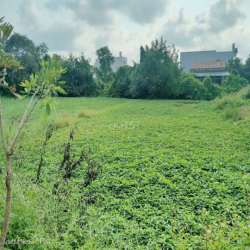 Cho thuê đât nông nghiêp