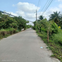 Cho thuê đât nông nghiêp