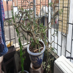 Cho thuê phòng trọ - SN 4 - ngách 208 - Ngõ 8 - Lê Quang Đạo - Hà Nội