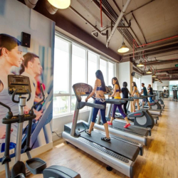 🏡The Botanica 2PN=14.5Tr, 3PN=24Tr Full Nội Thất [giỏ hàng 3 căn] Xem