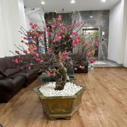 Chính chủ cho thuê mặt bằng kinh doanh mặt ngõ 79 Cầu Giấy hà nội
