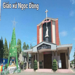 CHO THUÊ 203m2 KHO, NHÀ XƯỞNG P.TÂN HÒA GẦN GIÁO XỨ NGỌC ĐỒNG, NGÔ XÁ