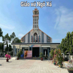 CHO THUÊ 203m2 KHO, NHÀ XƯỞNG P.TÂN HÒA GẦN GIÁO XỨ NGỌC ĐỒNG, NGÔ XÁ