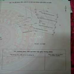 CHO THUÊ ĐẤT NÔNG NGHIỆP