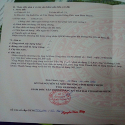 CHO THUÊ ĐẤT NÔNG NGHIỆP