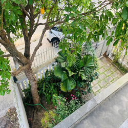Cho thuê nhà mặt tiền rộng, có sân vườn