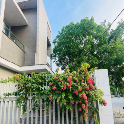 Cho thuê nhà mặt tiền rộng, có sân vườn