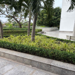 Cho Thuê Shophouse 35m2,  cc Hoàng Anh Thanh Bình, Q7