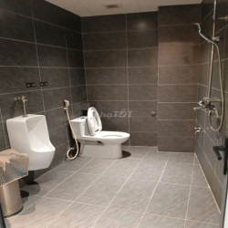 Cho thuê MBKD mặt phố Trần Điền, DTSD 350m2, vỉa hè rộng, giá 40tr.