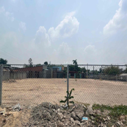 Cho thuê bãi đất 1000m2 đường xe container  bình an - Dĩ An