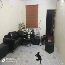 Cho thuê nhà tập thể 11a ĐH Thuỷ Lợi