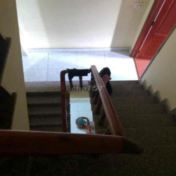 Cho thuê nhà 1 trệt 2 lầu hxh đường số 14 - Phước Bình