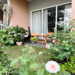 CHO THUÊ NHÀ PHỐ – SHOPHOUSE – BIỆT THỰ GIÁ TỐT TẠI Dragon Village 🐉